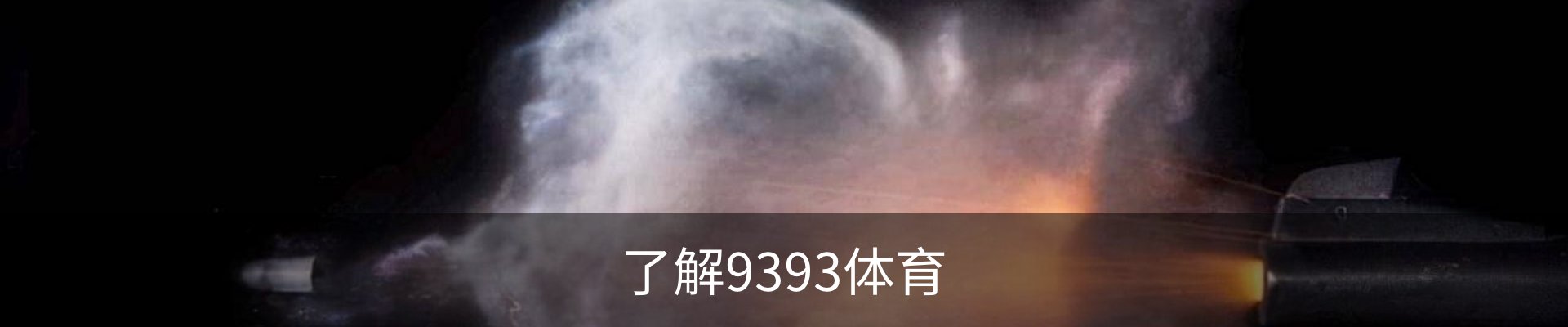 了解9393体育