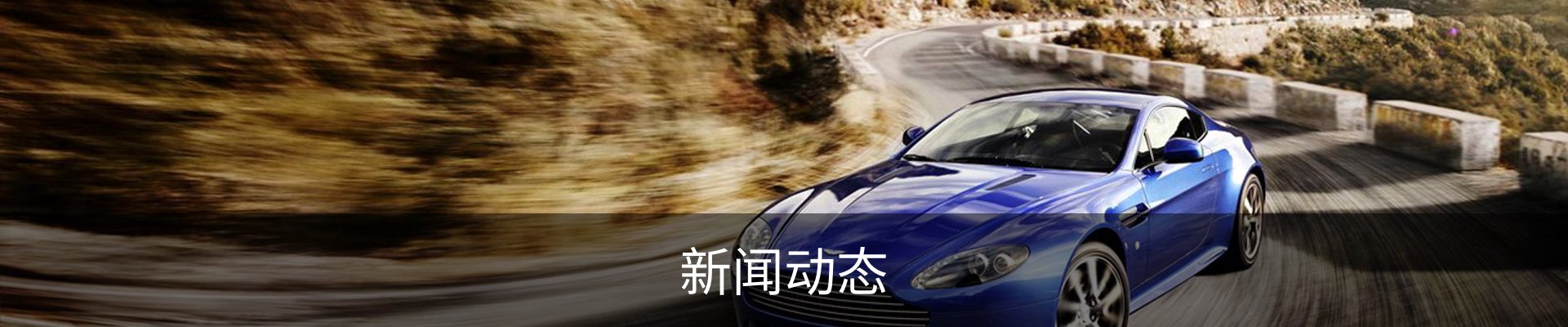 新闻动态