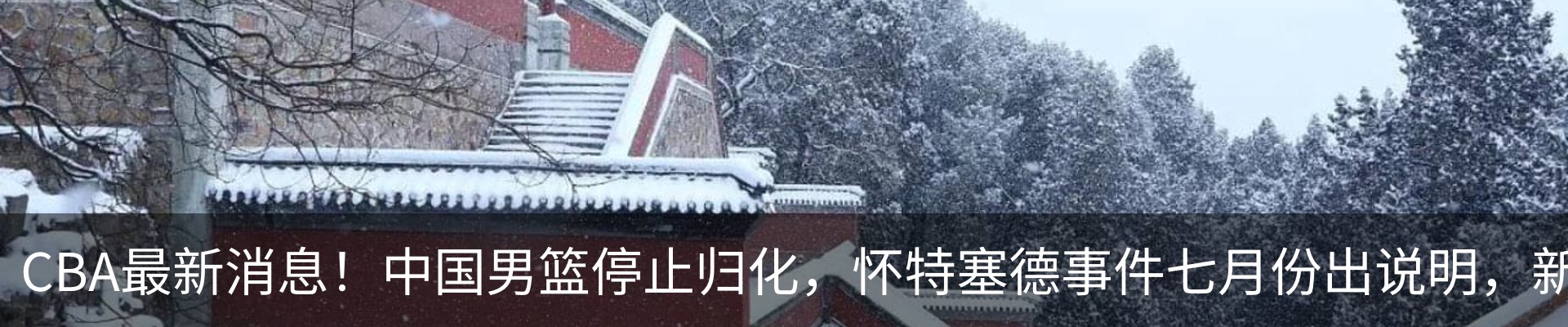 新闻动态