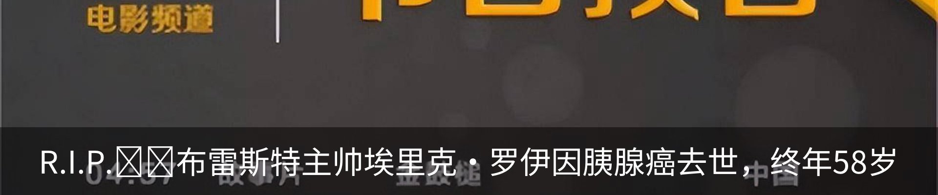 新闻动态